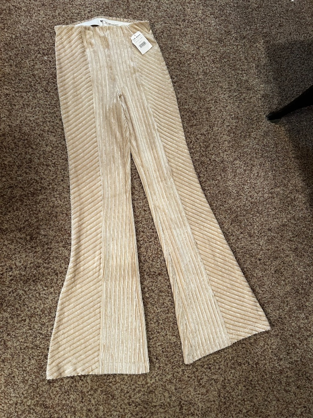 Free People velvet Penny pull on pants